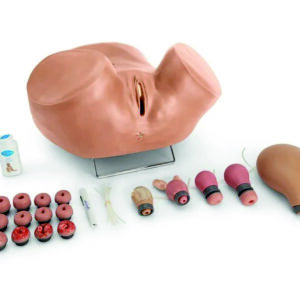 ZOE Gynecological Simulator