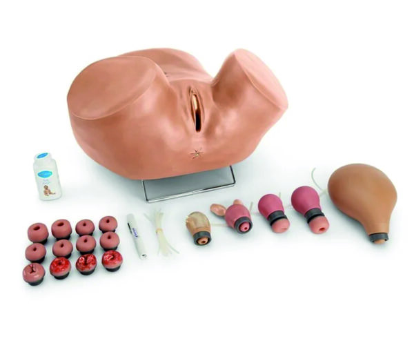 ZOE Gynecological Simulator – For IUD Insertion and Removal